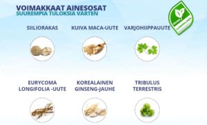 Explosive Enhancement 1 1.0 Explosive Enhancement